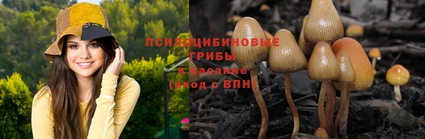 не бодяженный Абаза