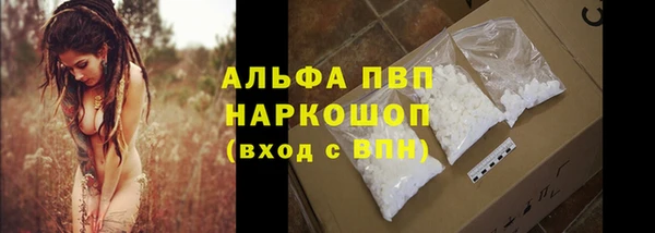 индика Абдулино
