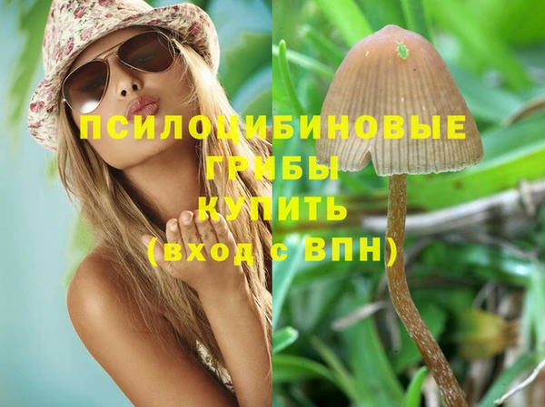 не бодяженный Абаза