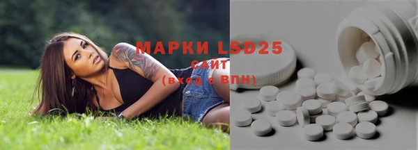 индика Абдулино