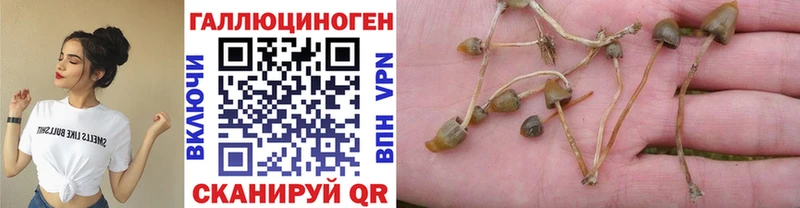 Галлюциногенные грибы мухоморы  Искитим 
