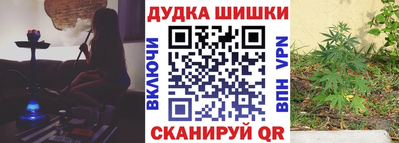 Бошки марихуана гибрид  гидра зеркало  Искитим  где можно купить наркотик 